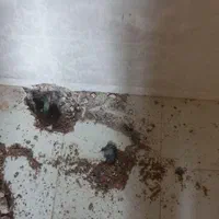 شرکت نشت یابی نشتی ترکیدگی دستگاه لوله کشی بازکنی|خدمات پیشه و مهارت|شیراز, پانصد دستگاه ارتش|دیوار