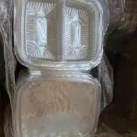 ظرف یکبار مصرف طلقی دلی ۱۰۰ عدد