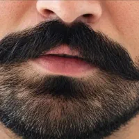 بلیت کنسرت موها 7