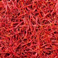 زعفران اعلای لرستان