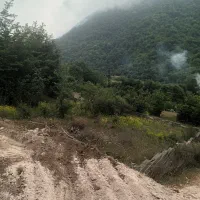 ۸۰۰ متر زمین لزیر رویان با ویو جنگل قابل ساخت|فروش زمین و ملک کلنگی|رویان, |دیوار