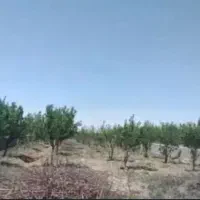 زمین-فروشی