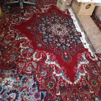 قالی 12 متری کارکرده گچساران|فرش|دوگنبدان, |دیوار