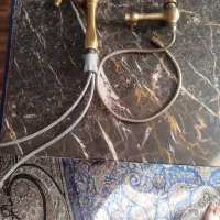 شیرالات طلایی