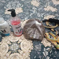 قلاده و غذا خشک