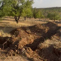فروش زمین ۱۰۰۰ متری کودیان|فروش زمین و ملک کلنگی|شیراز, کودیان|دیوار