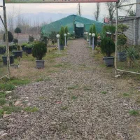 زمین فول امکانات