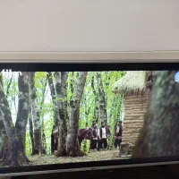 ال ای دی|تلویزیون و پروژکتور|الیگودرز, |دیوار