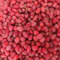 زرشک تازه