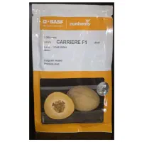 فروش بذور ملون و هندوانه با قیمت نمایندگی