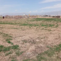 ۵۵۰متر زمین در اراضی چاه بلند به فروش میرسد|فروش زمین و ملک کلنگی|نیشابور, گنبد سبز|دیوار
