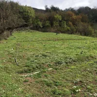 زمین ییلاقی|فروش زمین و ملک کلنگی|پره‌سر, |دیوار