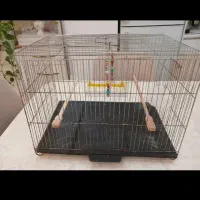 قفس پرنده|لوازم جانبی حیوانات|لاهیجان, مهرگان|دیوار