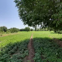 زمین ۷۰۰۰ متر سند دار|فروش دفتر صنعتی، کشاورزی، تجاری|تهران, شهران شمالی|دیوار