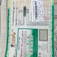 فرش پاتریس۱۲۰۰نو|فرش|بانه, |دیوار