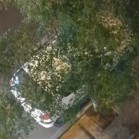 ۲۰۶ تیپ دو کم کارکرد