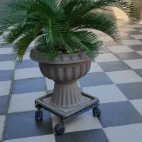 سیکاس|گل و گیاه طبیعی|تهران, دروس|دیوار