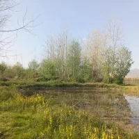 پرورش خلاقیت برای نوجوانان و جوانان