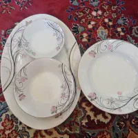 ظروف پذیرایی