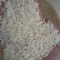 برنج هاشمی ایرانی ممتاز|خوردنی و آشامیدنی|تهران, هرندی|دیوار