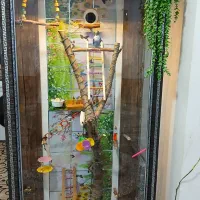 قفس لوازمی پرنده