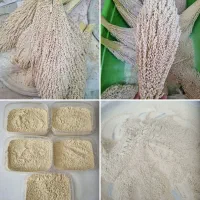 گرده نخل. ژل رویال. عسل  و معجون