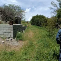زمین در روستای گرده وباغ ۵۰۰۰متری در میرزانق|فروش زمین و ملک کلنگی|عنبران, |دیوار