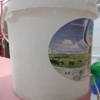 سطل ۱۰،کلیویی