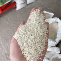 برنج فجر سوزنی سورت شده