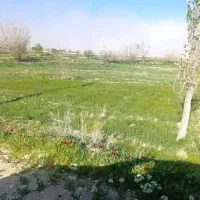فروش-زمین-داخل-بافت-در-روستای-کتالان