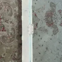 رام‌ زیر رادزاتورپراید...
