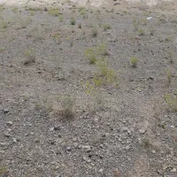 زمین کشاورزی در قبادبزن