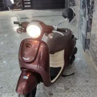 پاکشتی گرینو