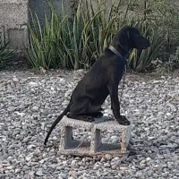 ۱۲۳۴۵۶۷۸۹۱۰