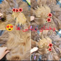 مو  سیلک و رنگی