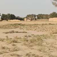 زمین مناسب باغ و دامداری