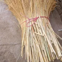 جاروآبی پاک کرده کیلو۶۰تومان