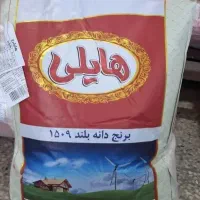 برنج هایلی خوش قیمت