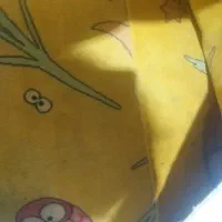 ۲۰مترپالاز