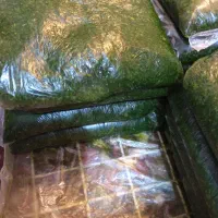 سبزی خوزستان