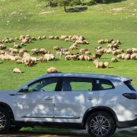 تیگو 8پرومکس ie