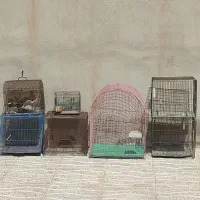 قفس پرنده