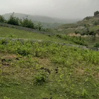 فروش ویژه ی زمین در سوادکوه شهر زیراب|فروش زمین و ملک کلنگی|زیرآب, |دیوار