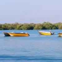 گشت جزیره وخدمات حمل مسافر به تمام نقاط ایران
