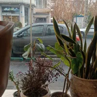 155متر-3خواب-جنوبی-پارکینگ-آسانسور-بیمه-اکباتان