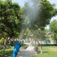 کلیه خدمات باغبانی در تهران و حومه|خدمات باغبانی و درختکاری|تهران, شهرک غرب|دیوار