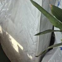 تشک رویال|تشک تختخواب|قائمشهر, |دیوار