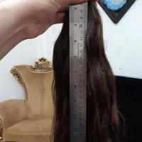 فروش مویه طبیعی بدونه رنگ و کراتین|آرایشی، بهداشتی، درمانی|تهران, استاد معین|دیوار