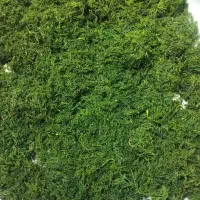 سبزی مارکت صفا|خوردنی و آشامیدنی|شیراز, دست خضر|دیوار