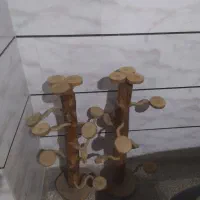 پایه سفره هفت سین